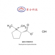 Sepax 益母草专用柱Polar-Propylamide,5μm,120 A,4.6X250 mm